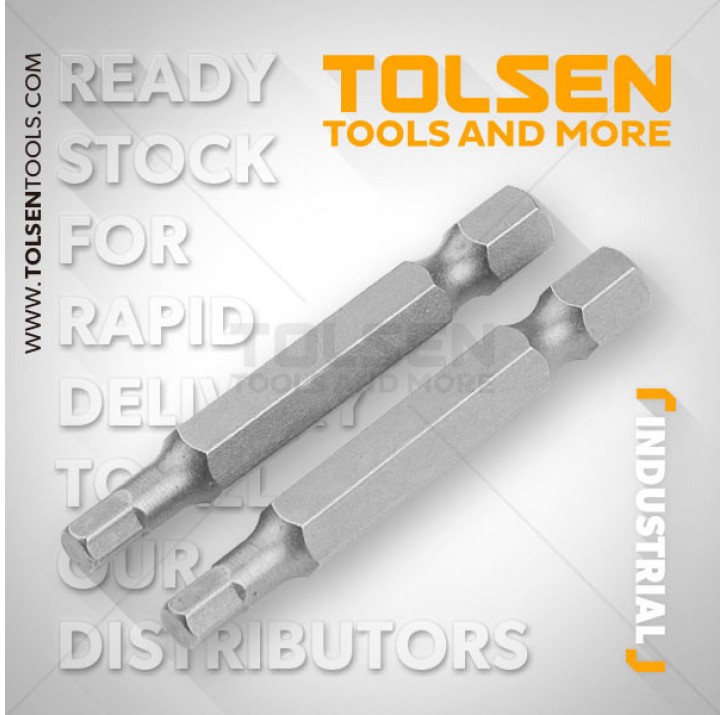 Набор бит на блистере 2шт T10*25 TOLSEN